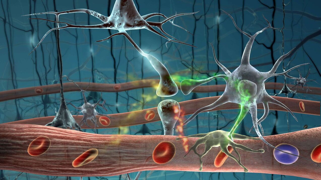 Cellules parasitaires dans le corps humain